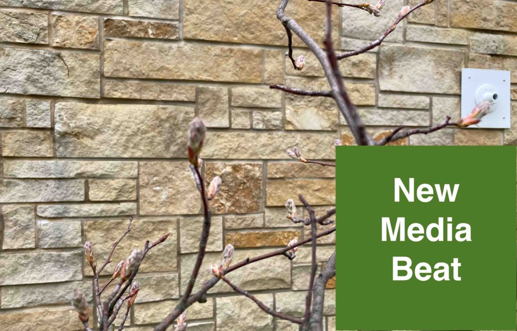 New Media Beat Logo on Stone Wall with Budding Branches