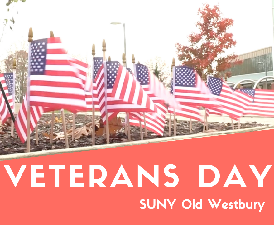 Veterans Day at Old Westbury