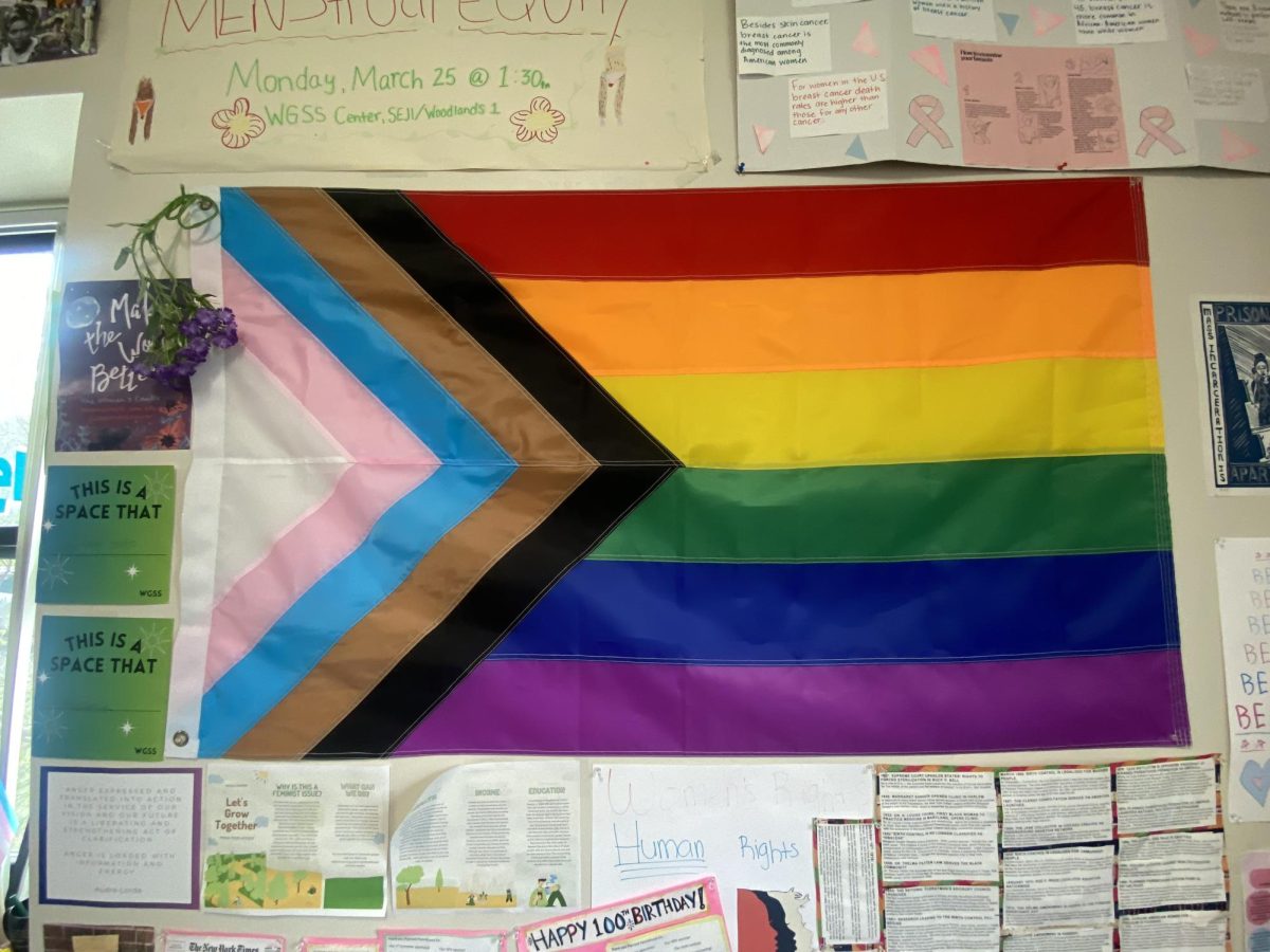 Pride flag located in the Women’s, Gender and Sexuality Studies center in Woodlands Hall 1 at SUNY Old Westbury in April 2026. PHOTO BY: KAMSI AGU
